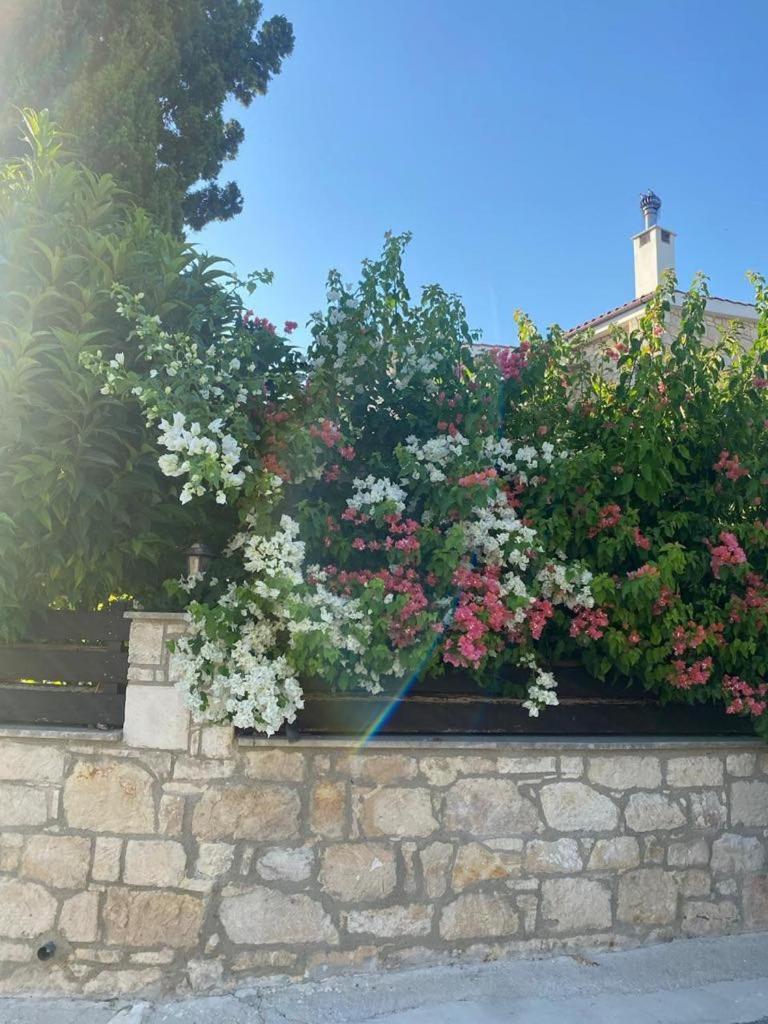 Almond Grove Villa Simou Buitenkant foto