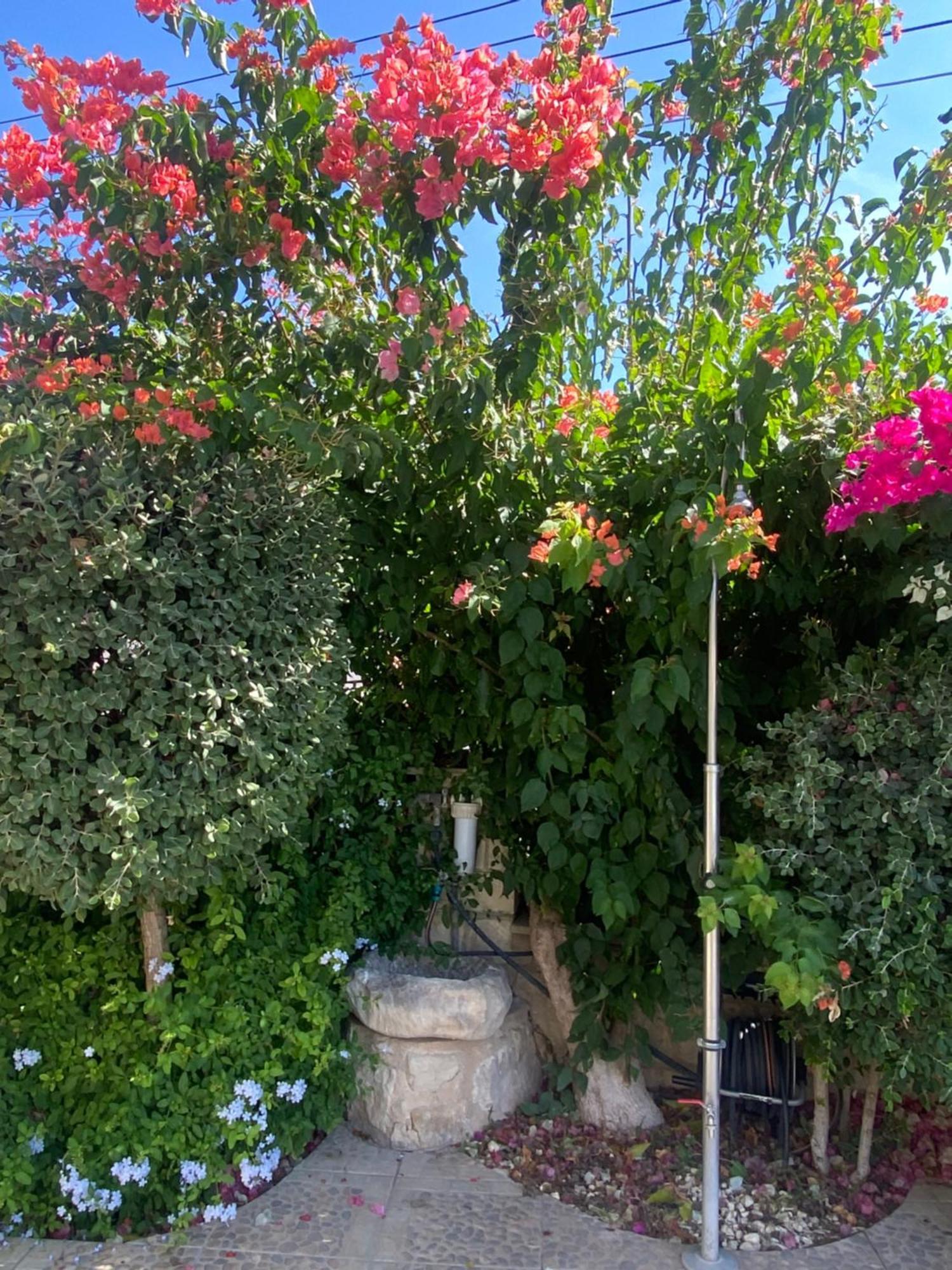 Almond Grove Villa Simou Buitenkant foto