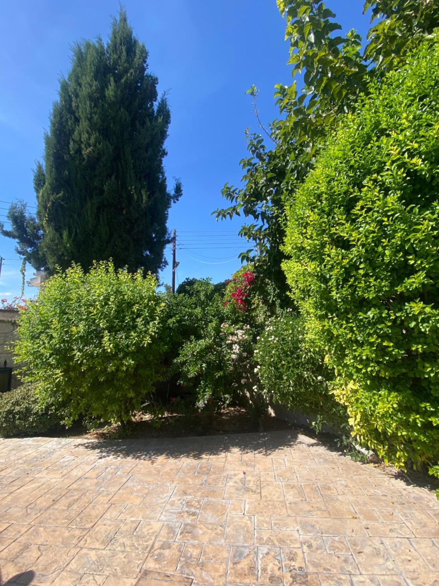 Almond Grove Villa Simou Buitenkant foto
